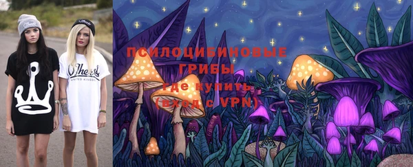 spice Белокуриха