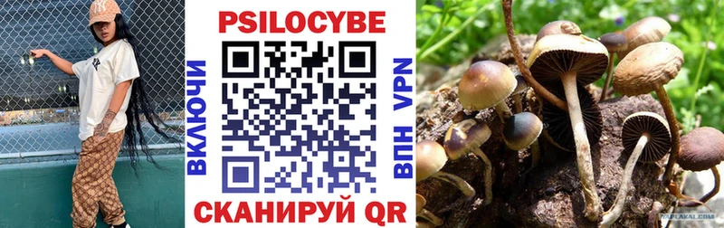 купить   Бирюсинск  Псилоцибиновые грибы GOLDEN TEACHER 